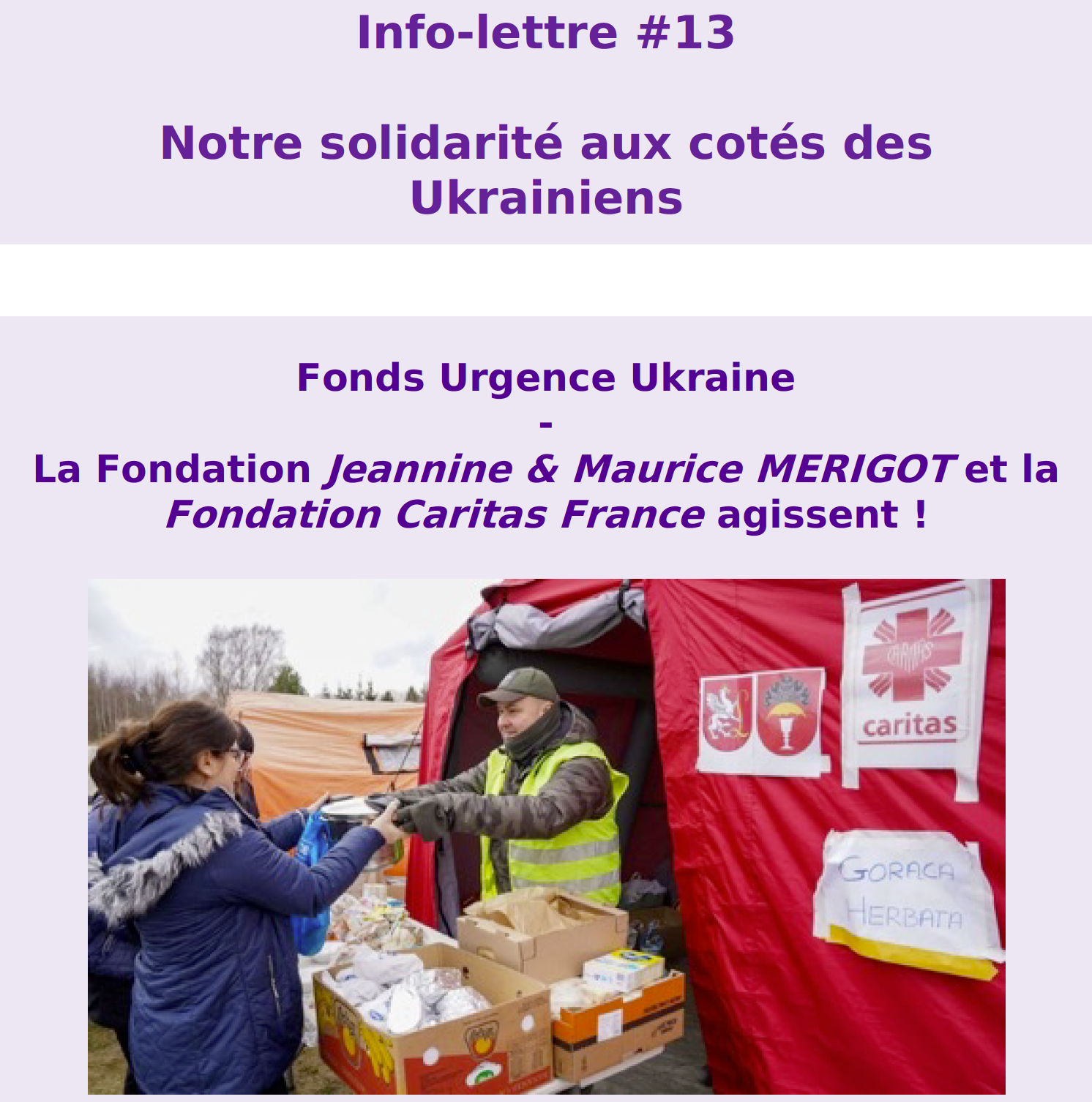 Infolettre 13